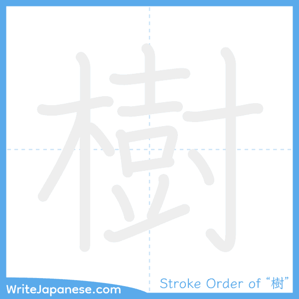How to write Japanese kanji "樹" - stroke order animation