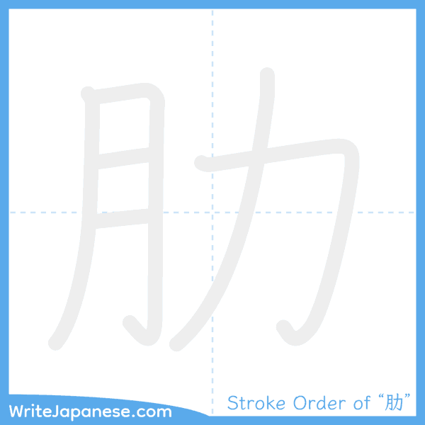 How to write Japanese kanji "肋" - stroke order animation