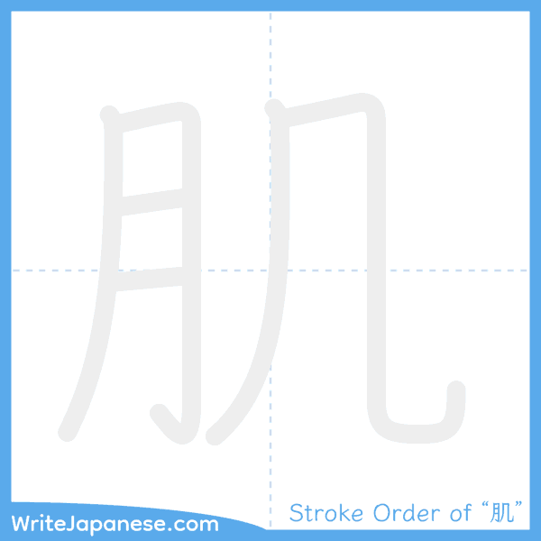 How to write Japanese kanji "肌" - stroke order animation