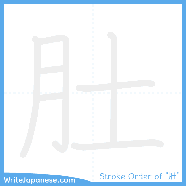 How to write Japanese kanji "肚" - stroke order animation