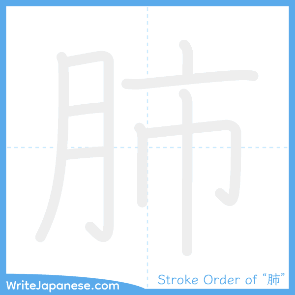 How to write Japanese kanji "肺" - stroke order animation