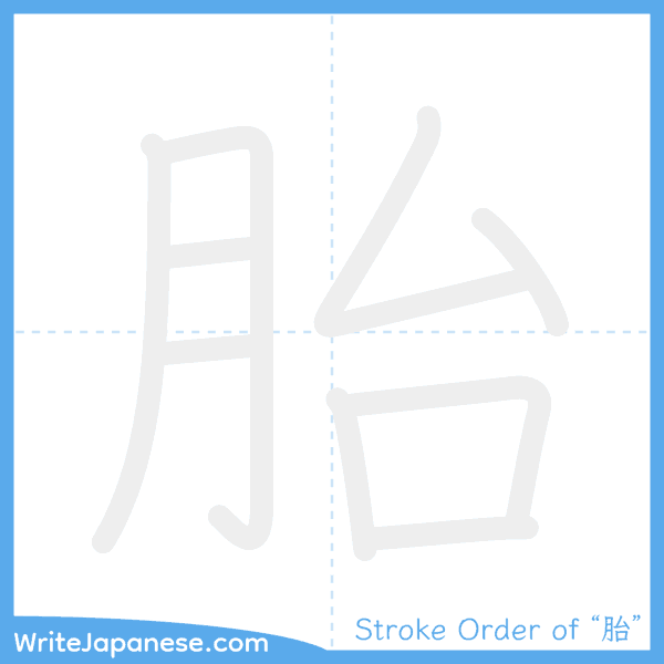 How to write Japanese kanji "胎" - stroke order animation