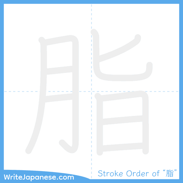 How to write Japanese kanji "脂" - stroke order animation
