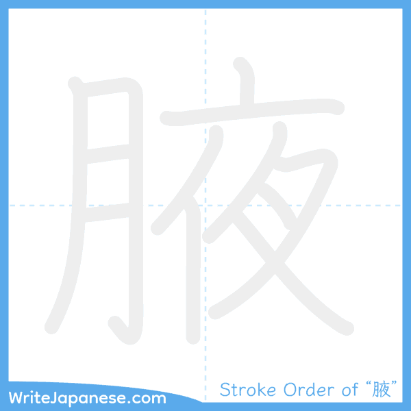 How to write Japanese kanji "腋" - stroke order animation