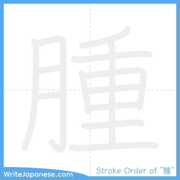 How to write Japanese kanji "腫" - stroke order animation