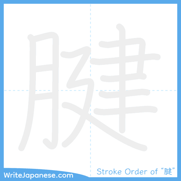How to write Japanese kanji "腱" - stroke order animation