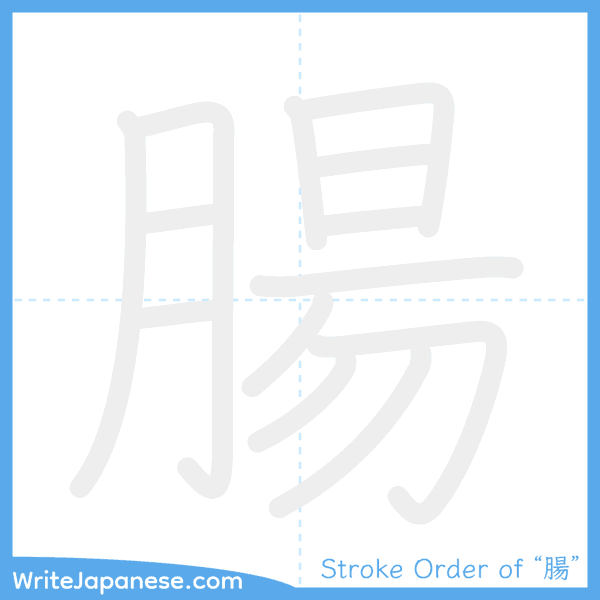 How to write Japanese kanji "腸" - stroke order animation