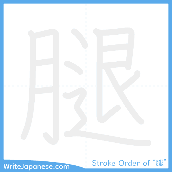 How to write Japanese kanji "腿" - stroke order animation
