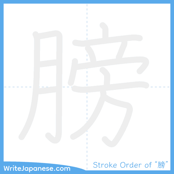 How to write Japanese kanji "膀" - stroke order animation