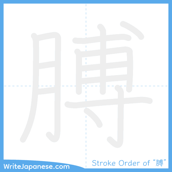 How to write Japanese kanji "膊" - stroke order animation