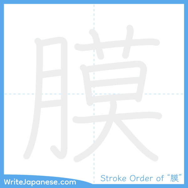 How to write Japanese kanji "膜" - stroke order animation