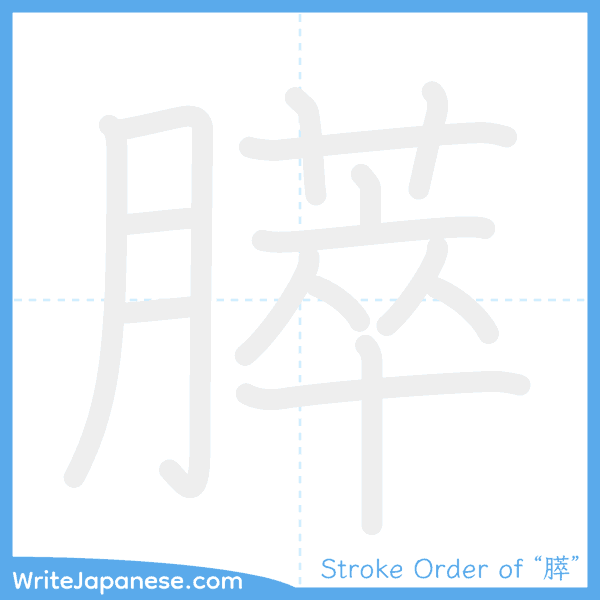 How to write Japanese kanji "膵" - stroke order animation