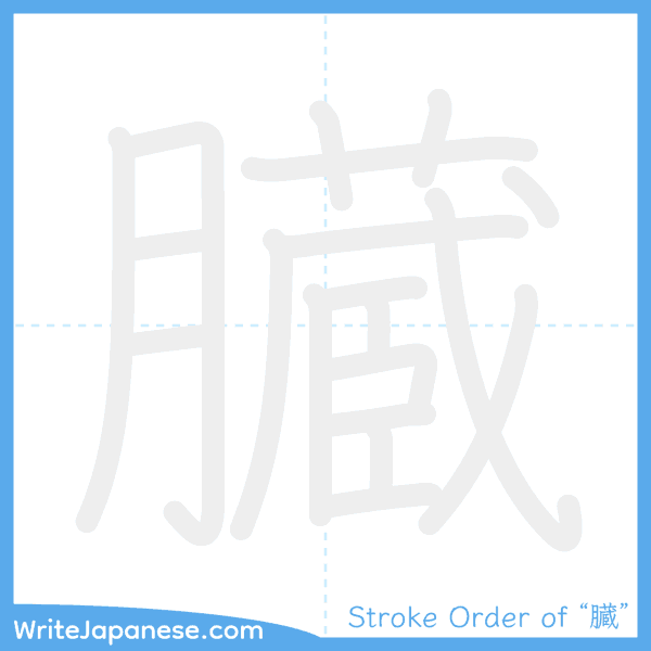 How to write Japanese kanji "臓" - stroke order animation