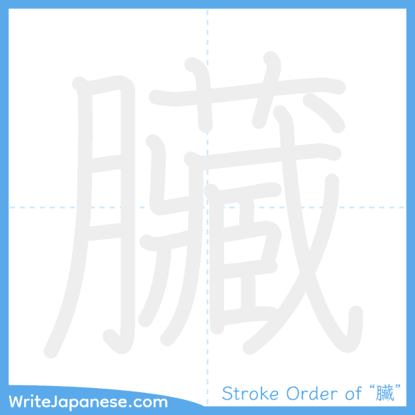 How to write Japanese kanji "臟" - stroke order animation