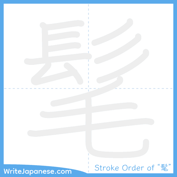 How to write Japanese kanji "髦" - stroke order animation