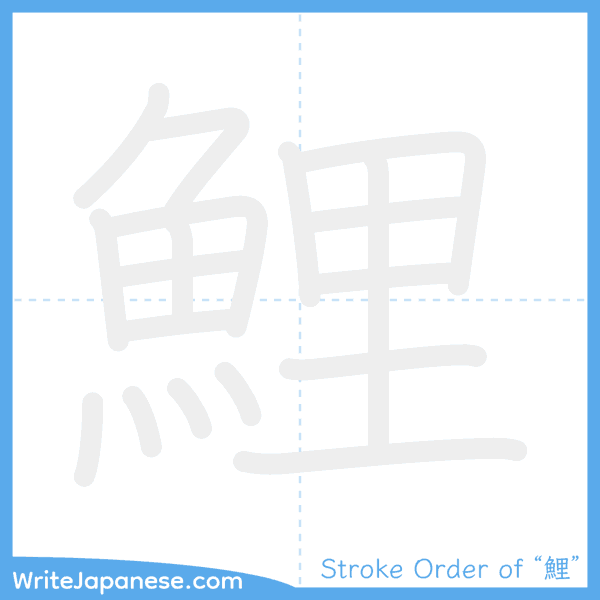 How to write Japanese kanji "鯉" - stroke order animation