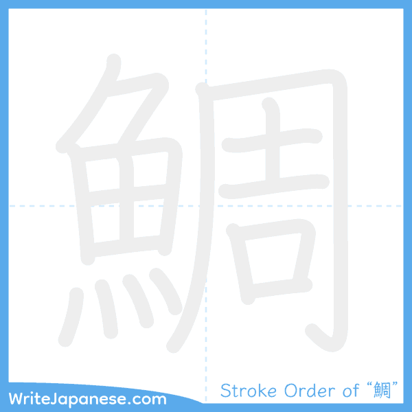 How to write Japanese kanji "鯛" - stroke order animation