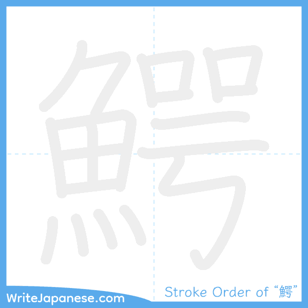 How to write Japanese kanji "鰐" - stroke order animation