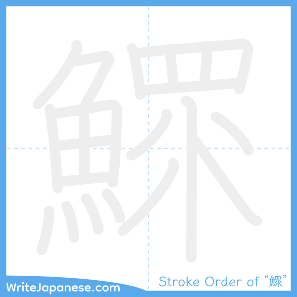 How to write Japanese kanji "鰥" - stroke order animation