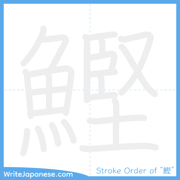 How to write Japanese kanji "鰹" - stroke order animation