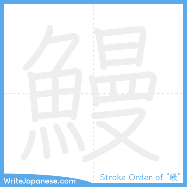 How to write Japanese kanji "鰻" - stroke order animation