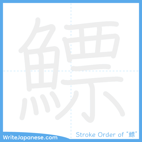 How to write Japanese kanji "鰾" - stroke order animation