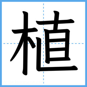 Japanese Kanji "植" - Stroke Order Guide