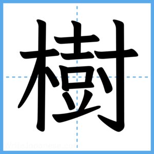 Japanese Kanji "樹" - Stroke Order Guide