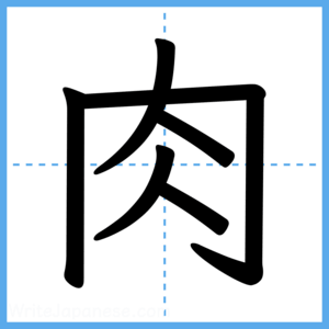 Japanese Kanji "肉" - Stroke Order Guide