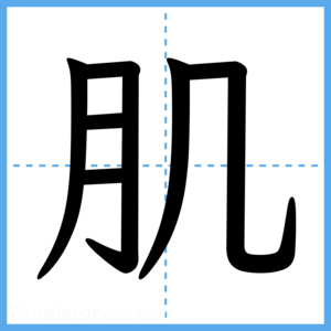 Japanese Kanji "肌" - Stroke Order Guide