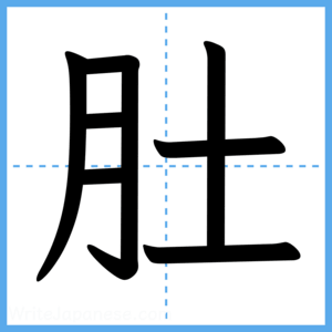 Japanese Kanji "肚" - Stroke Order Guide