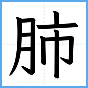 Japanese Kanji "肺" - Stroke Order Guide