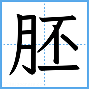 Japanese Kanji "胚" - Stroke Order Guide