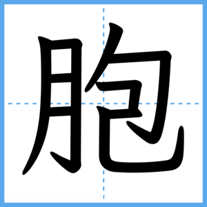 Japanese Kanji "胞" - Stroke Order Guide