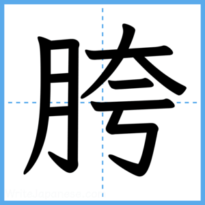 Japanese Kanji "胯" - Stroke Order Guide