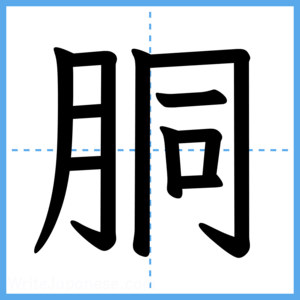Japanese Kanji "胴" - Stroke Order Guide