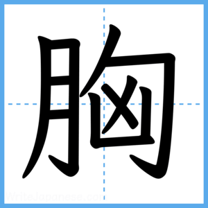 Japanese Kanji "胸" - Stroke Order Guide