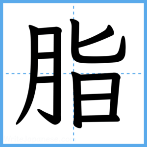 Japanese Kanji "脂" - Stroke Order Guide