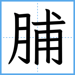 Japanese Kanji "脯" - Stroke Order Guide