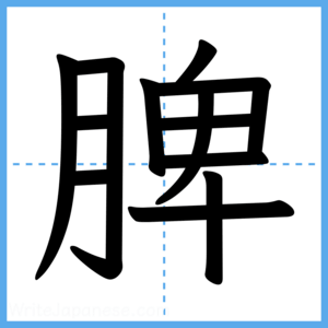 Japanese Kanji "脾" - Stroke Order Guide