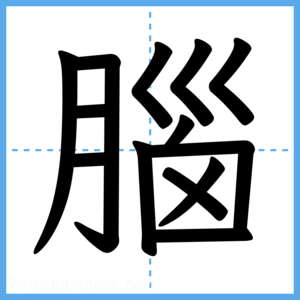 Japanese Kanji "腦" - Stroke Order Guide