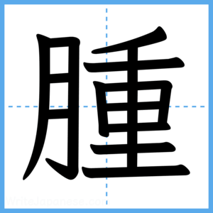 Japanese Kanji "腫" - Stroke Order Guide