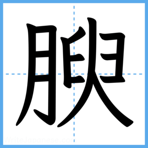 Japanese Kanji "腴" - Stroke Order Guide