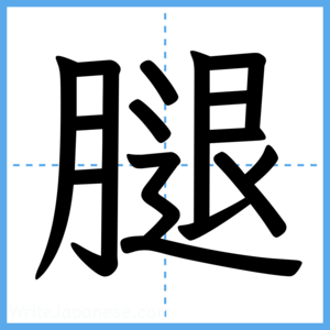 Japanese Kanji "腿" - Stroke Order Guide