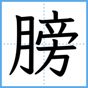 Japanese Kanji "膀" - Stroke Order Guide