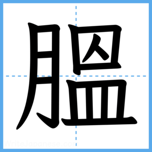 Japanese Kanji "膃" - Stroke Order Guide