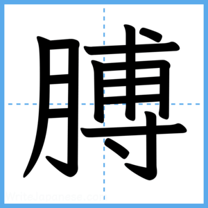 Japanese Kanji "膊" - Stroke Order Guide