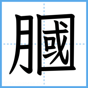 Japanese Kanji "膕" - Stroke Order Guide