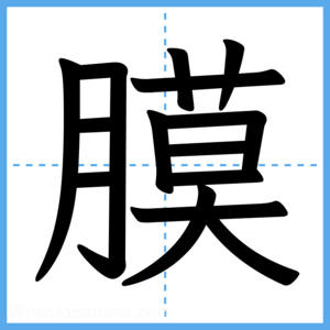 Japanese Kanji "膜" - Stroke Order Guide