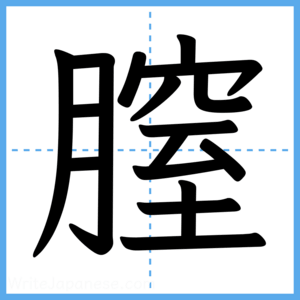 Japanese Kanji "膣" - Stroke Order Guide
